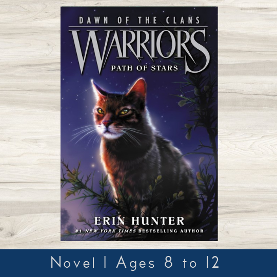 Warrior Cats (Series 2) New Prophecy 6 Books By Erin Hunter-Ages 8