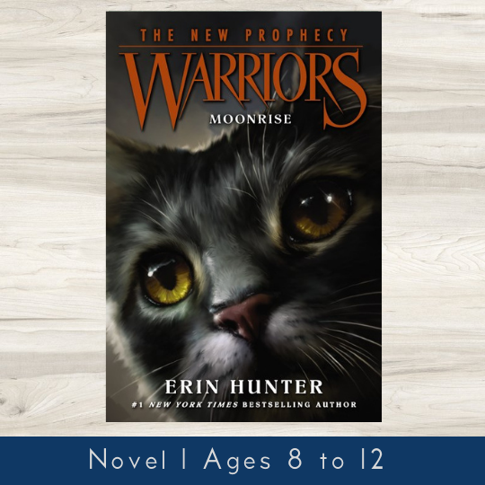 Warriors Cats Series 2 The Prophecy by Erin Hunter 6 Books Set for