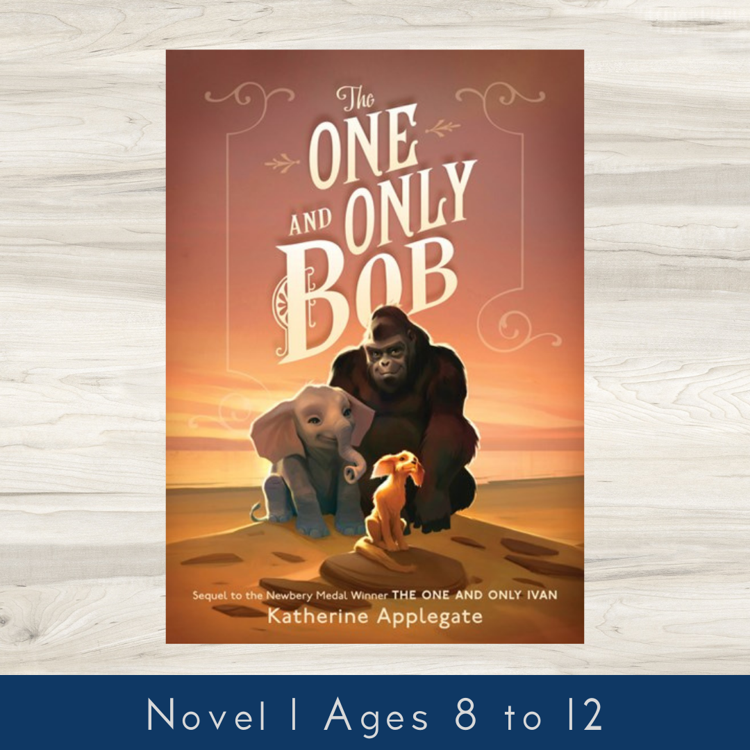 One and Only #2: The One and Only Bob | Katherine Applegate, Patricia  Castelao